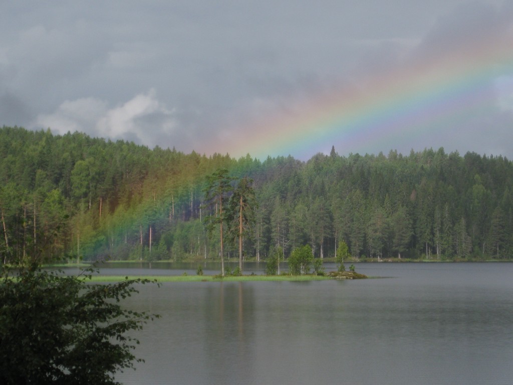 Rainbow in the Deep green Forests of Sigdal. Photo Olaug Walding 2011